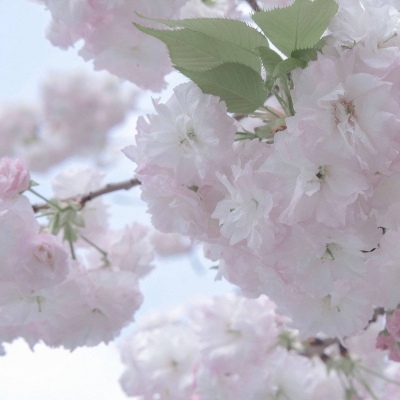 兽设动态构图思路Furry群